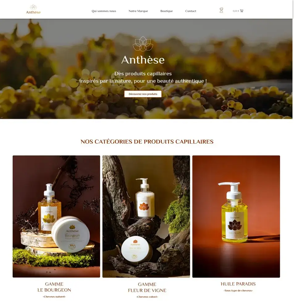 Exemple de site web e-commerce WordPress boutique produits capillaires