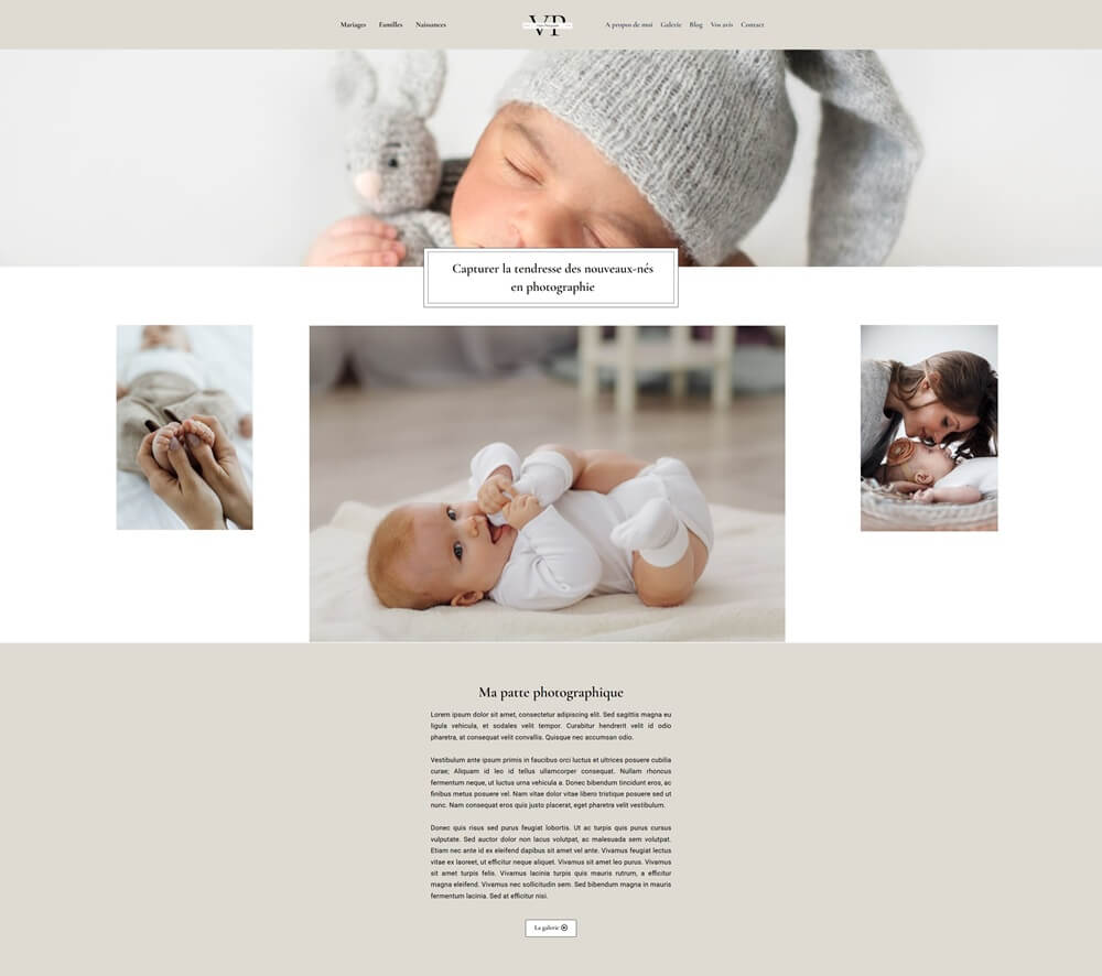 logo sur un site internet template site web logo